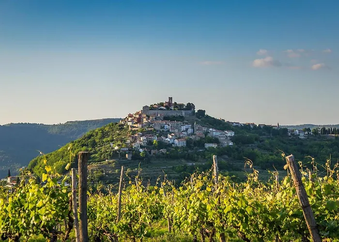 Prázdninový dům Dolce Motovun